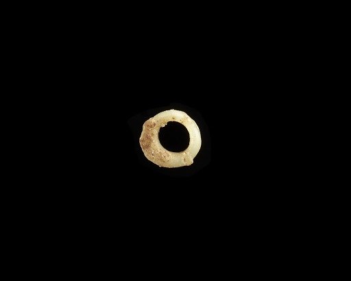 Bead