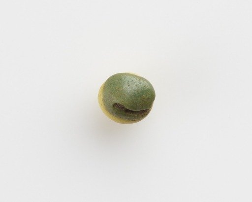 Bead