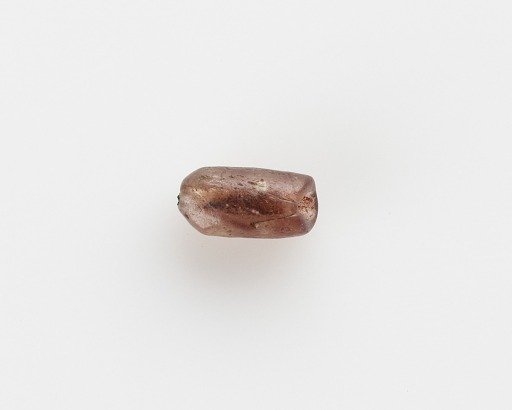 Bead
