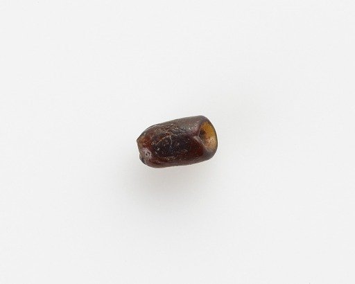 Bead