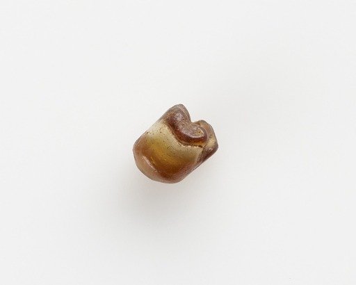 Bead