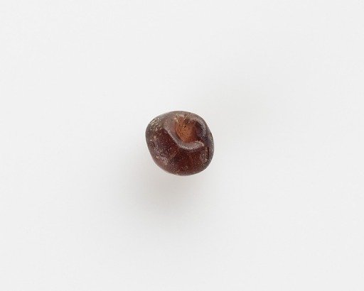 Bead