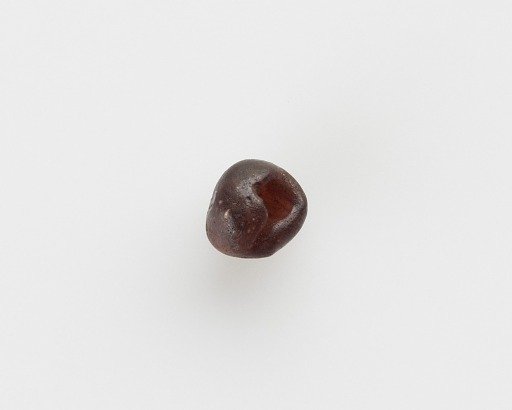 Bead