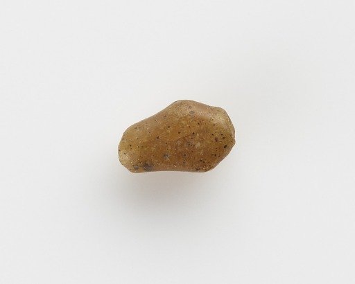Bead