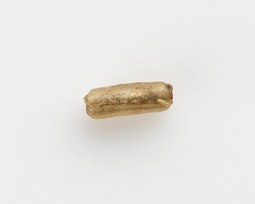 Bead