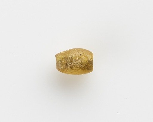 Bead