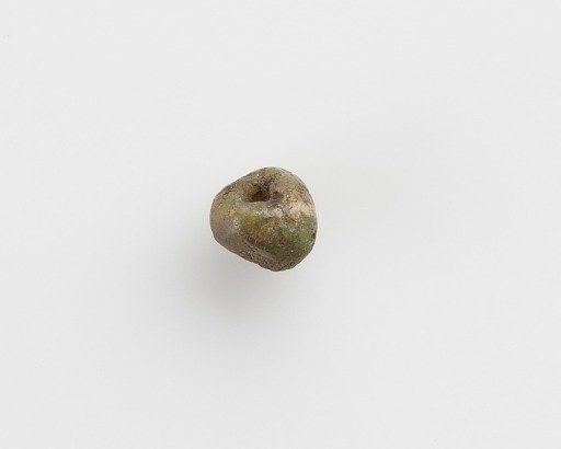 Bead
