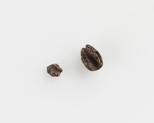 Bead