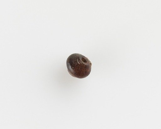 Bead