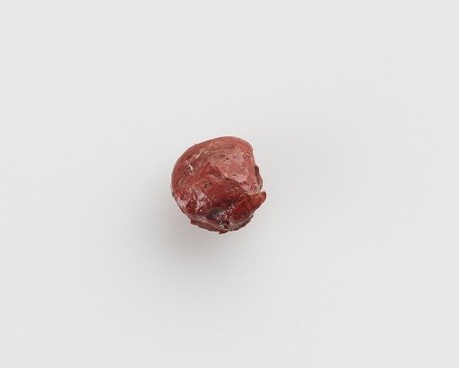 Bead