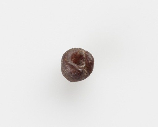 Bead