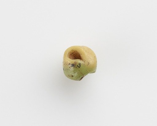 Bead