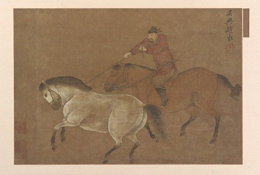 A rider lassoing a horse