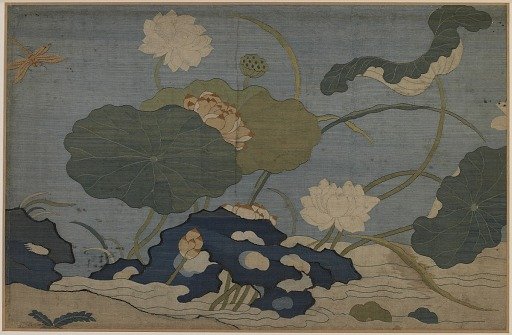 Dragonfly and lotus plants