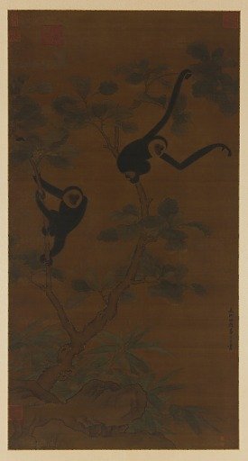 Two gibbons in a tree