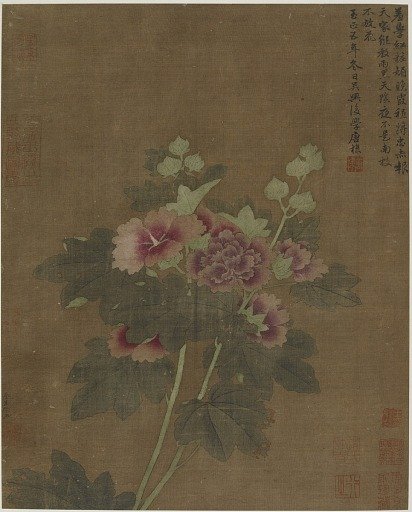 Hollyhocks