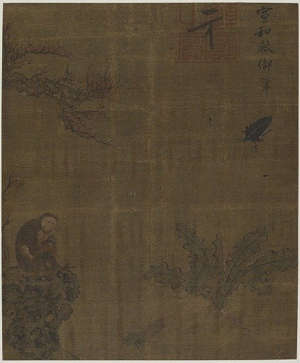 Monkeys, insects, and cabbage