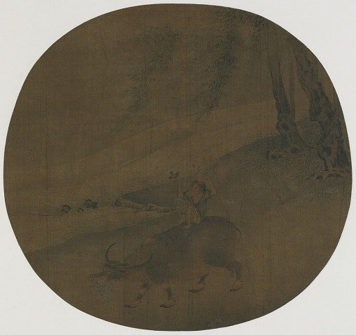 Boy on a water buffalo