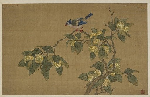 Bird and fruit