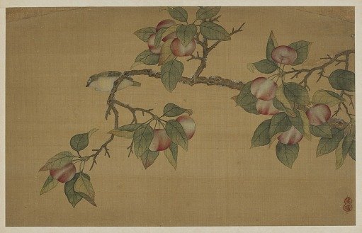 Bird and fruit