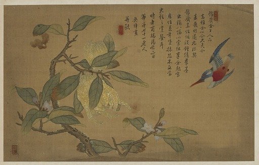 Bird, fruit, and flowers
