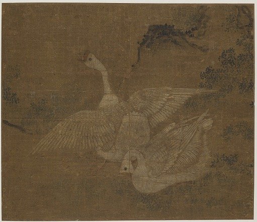 Pair of domestic geese