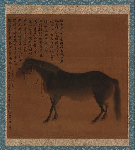 A horse