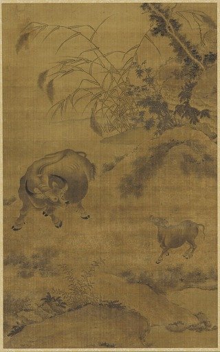 Water buffalo and calf