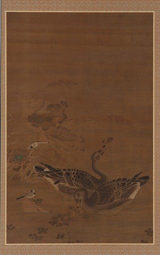 Two geese feeding in a lotus pond