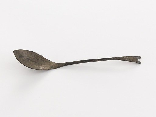 Spoon