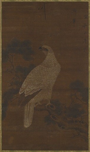 A white eagle on a pine branch