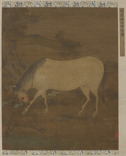 A white horse