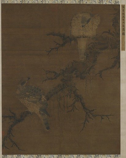 Two hawks on a barren bough