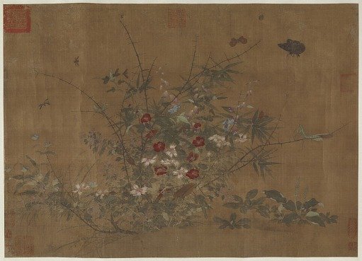 Flowers and insects