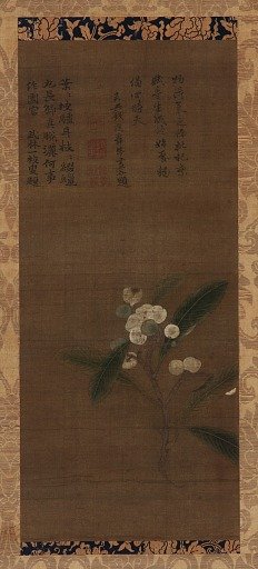 A branch of loquats
