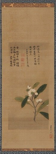A branch of loquats