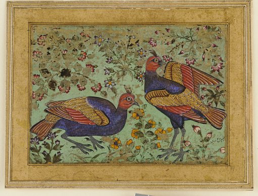 Two pheasants