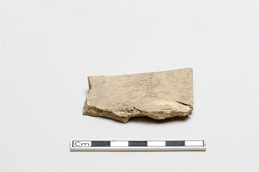 Oracle bone, incribed