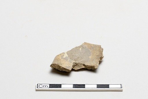 Oracle bone, inscribed
