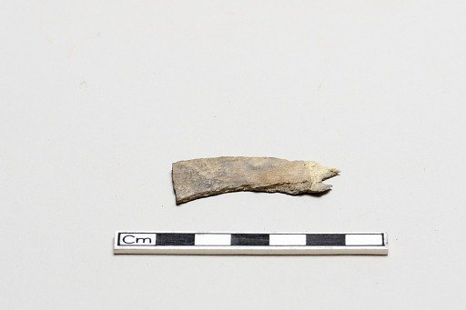 Oracle bone, inscribed