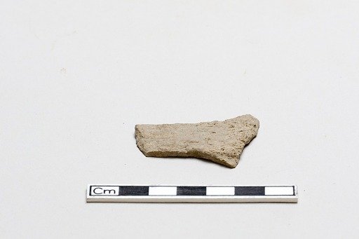 Oracle bone, inscribed
