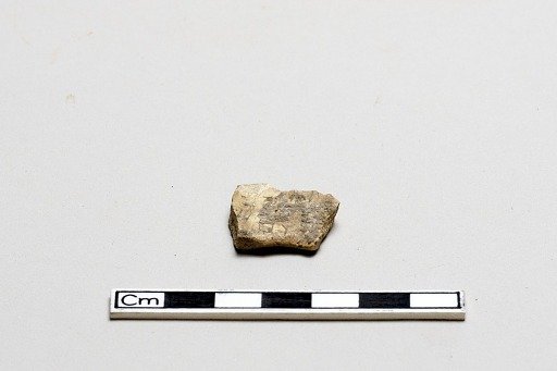 Oracle bone, inscribed