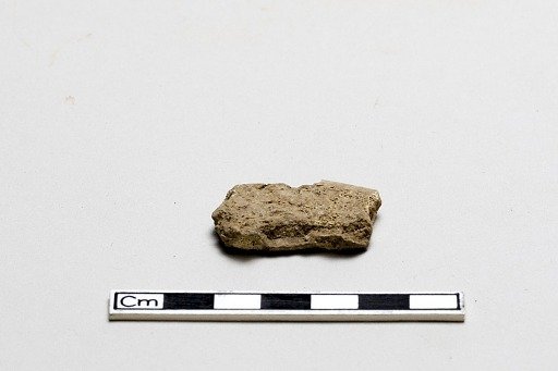 Oracle bone, inscribed