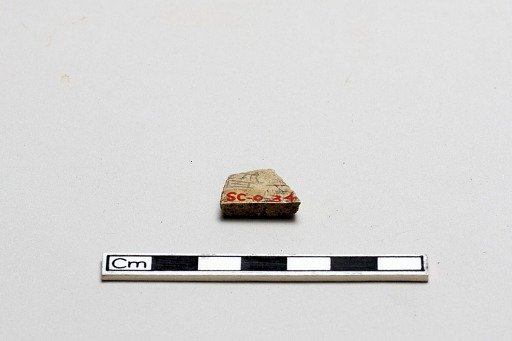 Oracle bone, inscribed