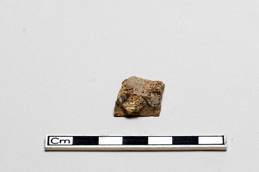 Oracle bone fragment, inscribed