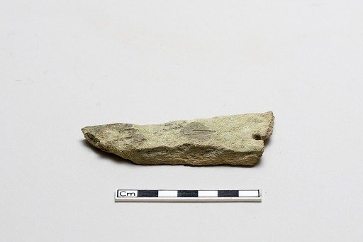 Bone, decorated fragment