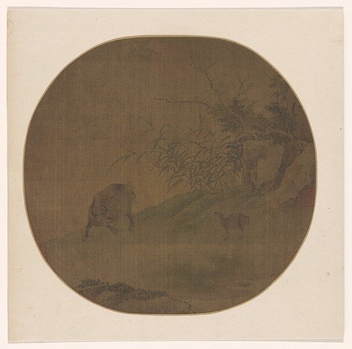Water Buffalo