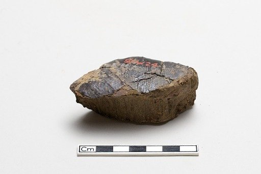 Fragment with lacquer on one surface