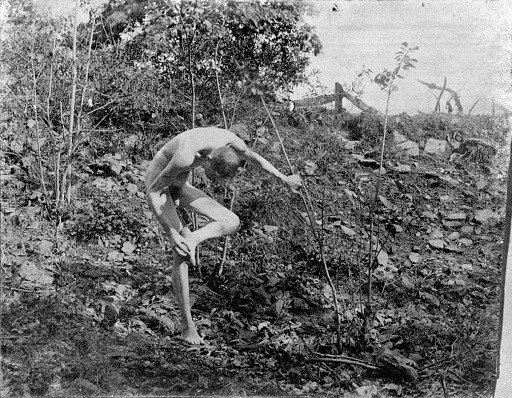 Thorn Puller
