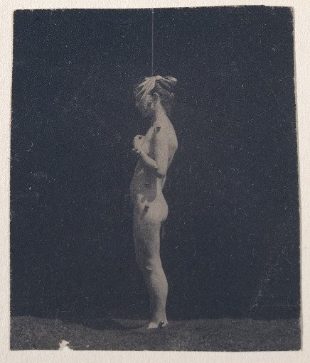 Unidentified Model